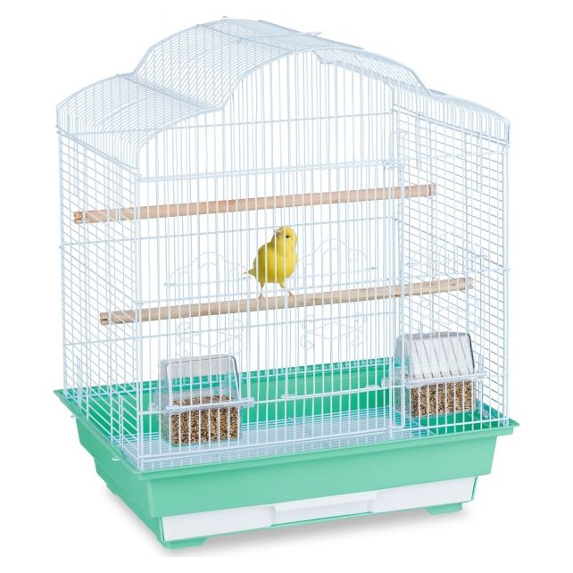 Cage oiseaux