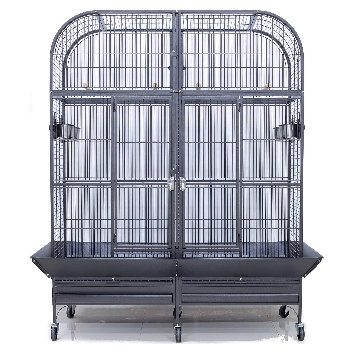 Peroquet gris de gabon avec cage — Canari