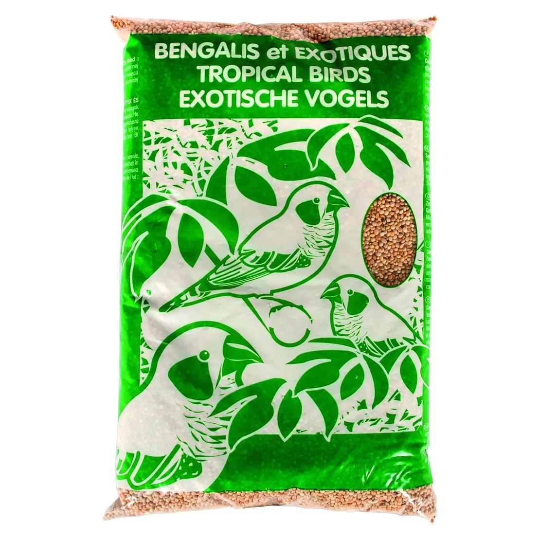 Oiseaux bangali