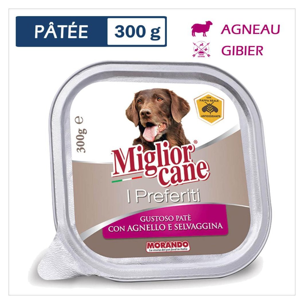 Pate Angello — Miglior cane