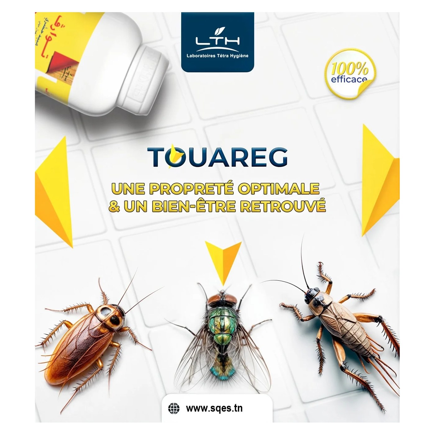 Touareg