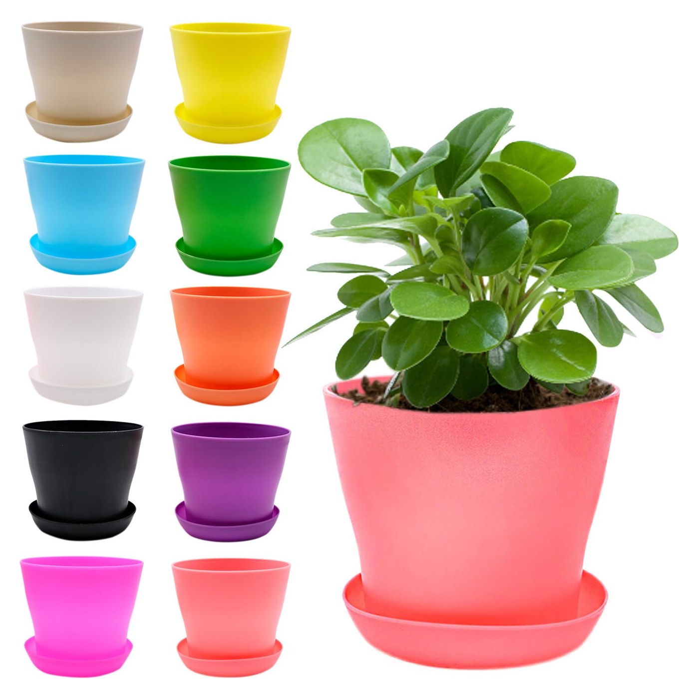 أصيص 20 سم ملون 20cm — Iskander biotrading